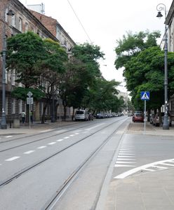 Warszawa. Zazieleni się ulica Stalowa. Od czwartku zmiany w ruchu