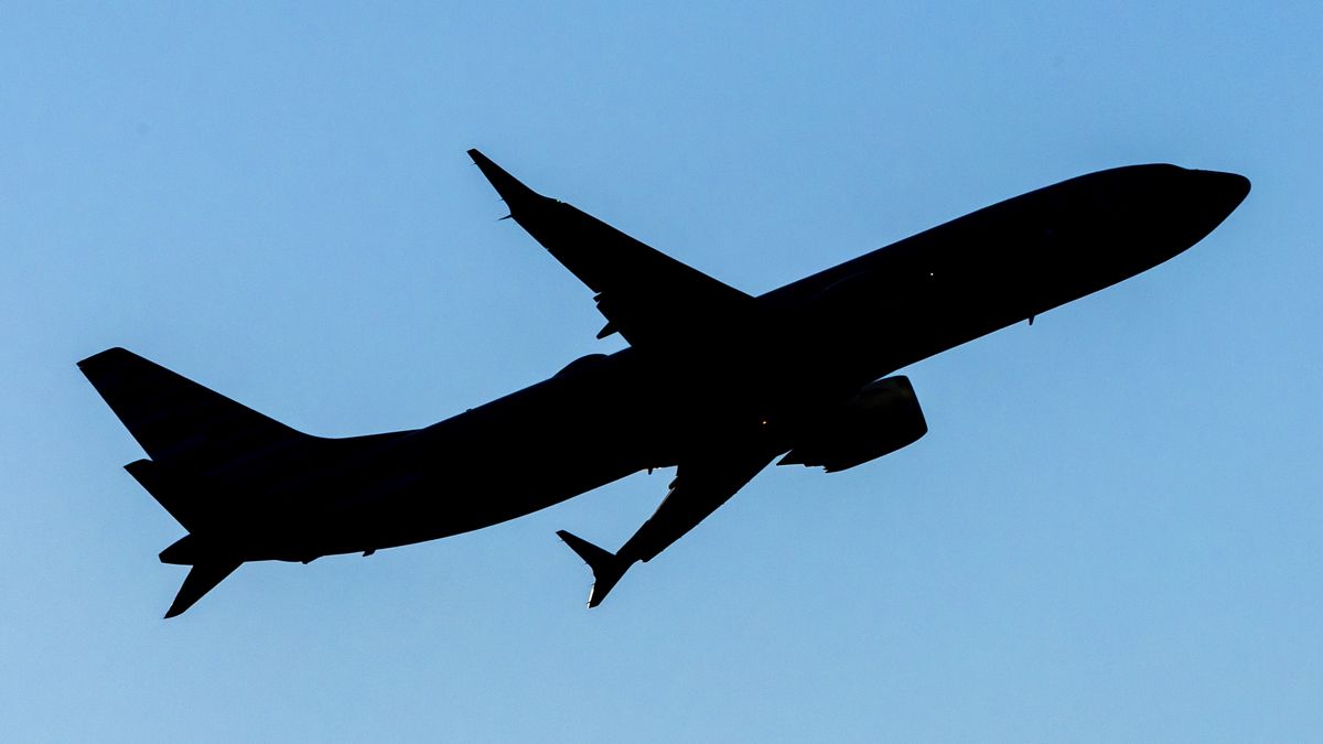 Silhouette of a Boeing 737 MAX8 passing in front of the sun during the flight. American Airlines Boeing 737 MAX 8 passenger aircraft spotted during takeoff and flying in front of the airport terminal, air traffic control tower and planes from Ronald Reagan Washington National Airport DCA, the closest airport to US capital Washington, D.C,. The AA narrow body airplane has the registration tail number N321TG and is powered by 2x CFMI LEAP 1B jet engines. American Airlines AAL is a major airline in the United States with headquarters and main hub in Fort Worth, Texas, USA. American Airlines is the largest airline in the world with a fleet of 970 planes, operating regional subsidiaries with the brand name American Eagle, member of Oneworld aviation alliance group. Crystal City, Virginia, United States on November 8, 2024 (Photo by Nicolas Economou/NurPhoto via Getty Images)