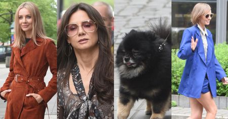 Zabiegane gwiazdy w drodze do "Dzień Dobry TVN": roześmiana Agnieszka Woźniak-Starak, Kinga Rusin z Czarkiem Lisem i długonoga Kasia Stankiewicz (ZDJĘCIA)