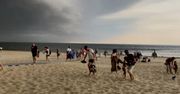 Uciekali w popłochu z plaży. "Ludzie, co się dzieje w tym kraju?"