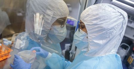 Polski wariant koronawirusa? Dr Grzesiowski: Nie zdziwiłbym się. Mamy sprzyjające warunki
