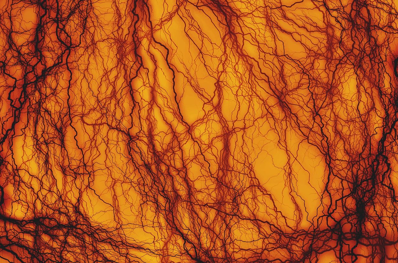 Bioprinting breakthrough: Scientists create human blood vessels