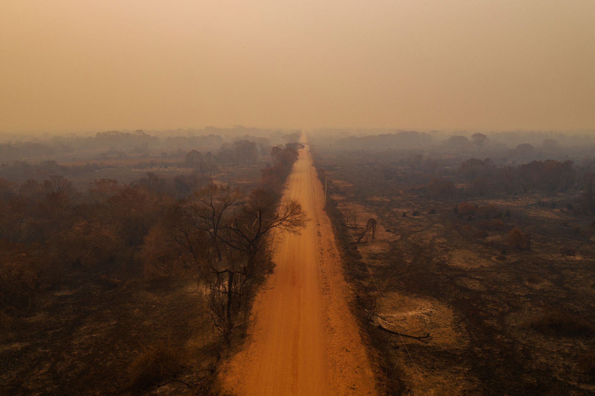 World Press Photo 2021: Polacy na podium! 22
