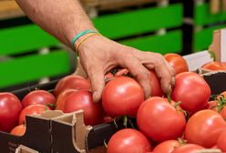 Załamanie na rynku pomidorów. "Problemy z krajowymi od pewnego czasu"