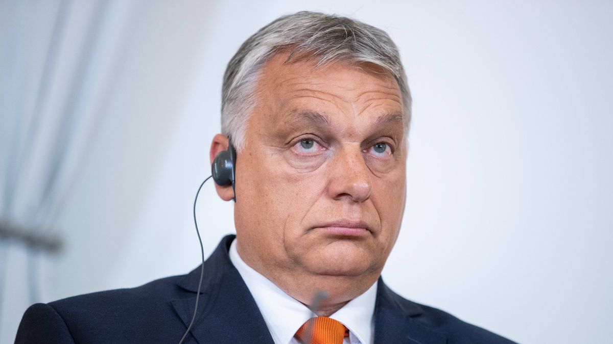 Hungarian Prime Minister Orban meets Austrian Chancellor Nehammer in Vienna
epa10095560 Hungarian Prime Minister Viktor Orban attends a joint press conference with Austrian Chancellor Nehammer after their meeting at the Austrian Chancellery in Vienna, Austria, 28 July 2022. Orban is on a one-day official visit to Austria.  EPA/MAX BRUCKER 
Dostawca: PAP/EPA.
MAX BRUCKER