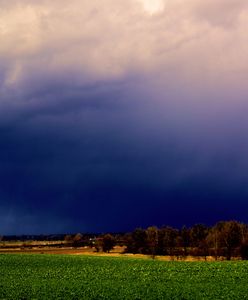 Demolka na południu. Rolnicy mówią, że takiej burzy nie było od 8 lat