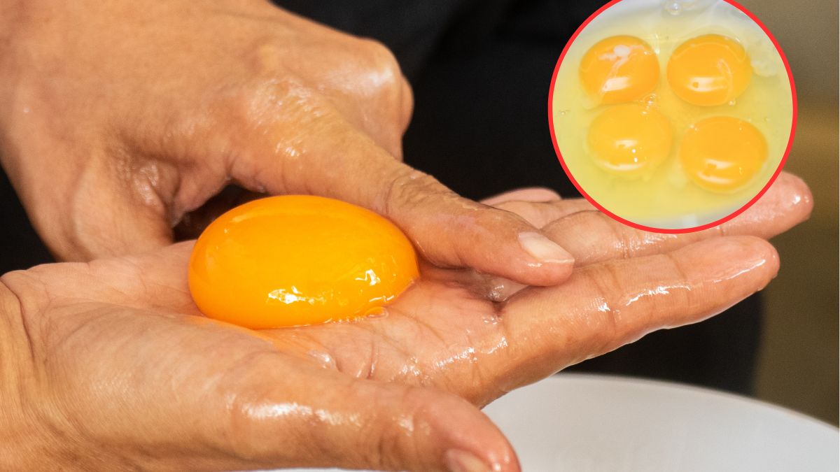 Czy kolor żółtek ma znaczenie? Odpowiadamy!