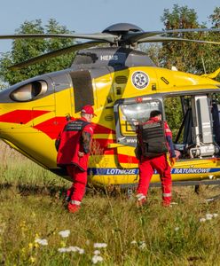 Śląskie. Rolnik zaatakowany przez byka. Mężczyzna nie żyje