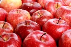 Pestki jabłek. Wyjaśniamy, dlaczego należy na nie uważać