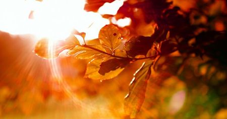 Prognoza pogody: Nadciąga kilkudniowe ocieplenie. Temperatura wzrośnie nawet do 25 st. C