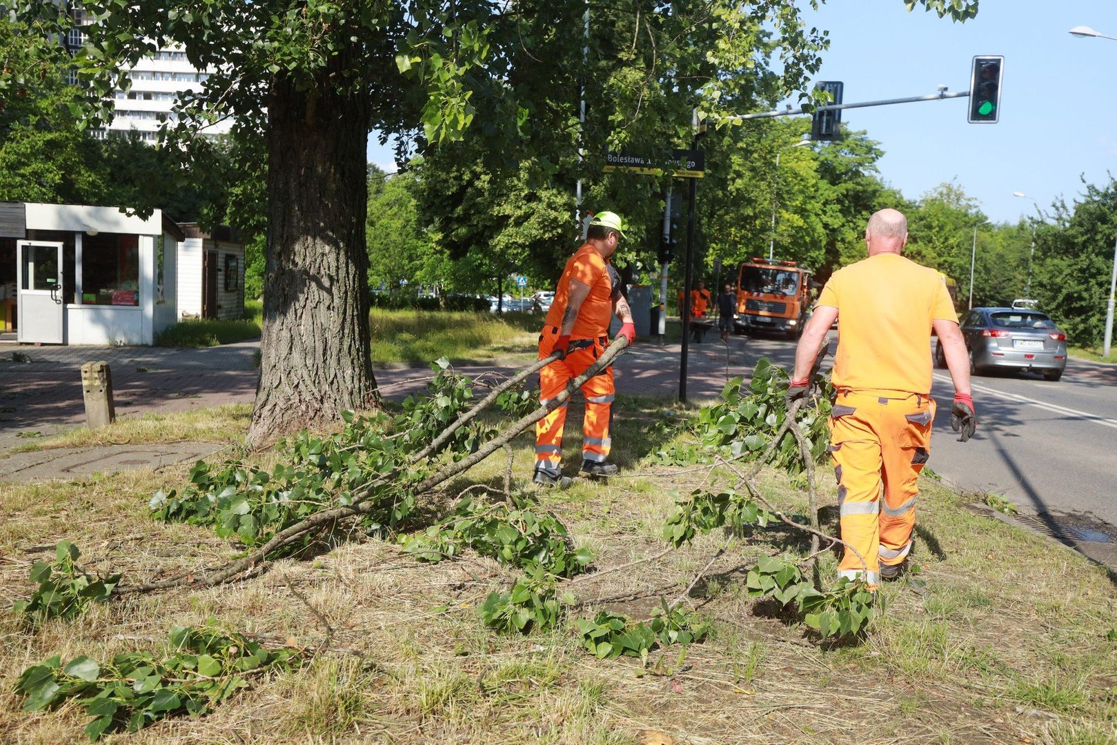 Katowice po wichurze. Osiedle Tysiąclecia wśród najbardziej poszkodowanych