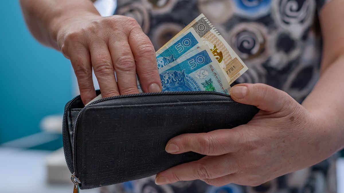 babcia, starszy, kobieta, portfel, haracz, oszustwo, metoda na wnuczka, oszust, podwyżka, renta, emeterytura, dodatek, refundacja, inflacja, bieda, pln, polski, nbp, trzynasta emerytura, podatek, zus, waluta, budżet, naiwny, staruszka, banknoty, papier, 100, finanse, gotówka