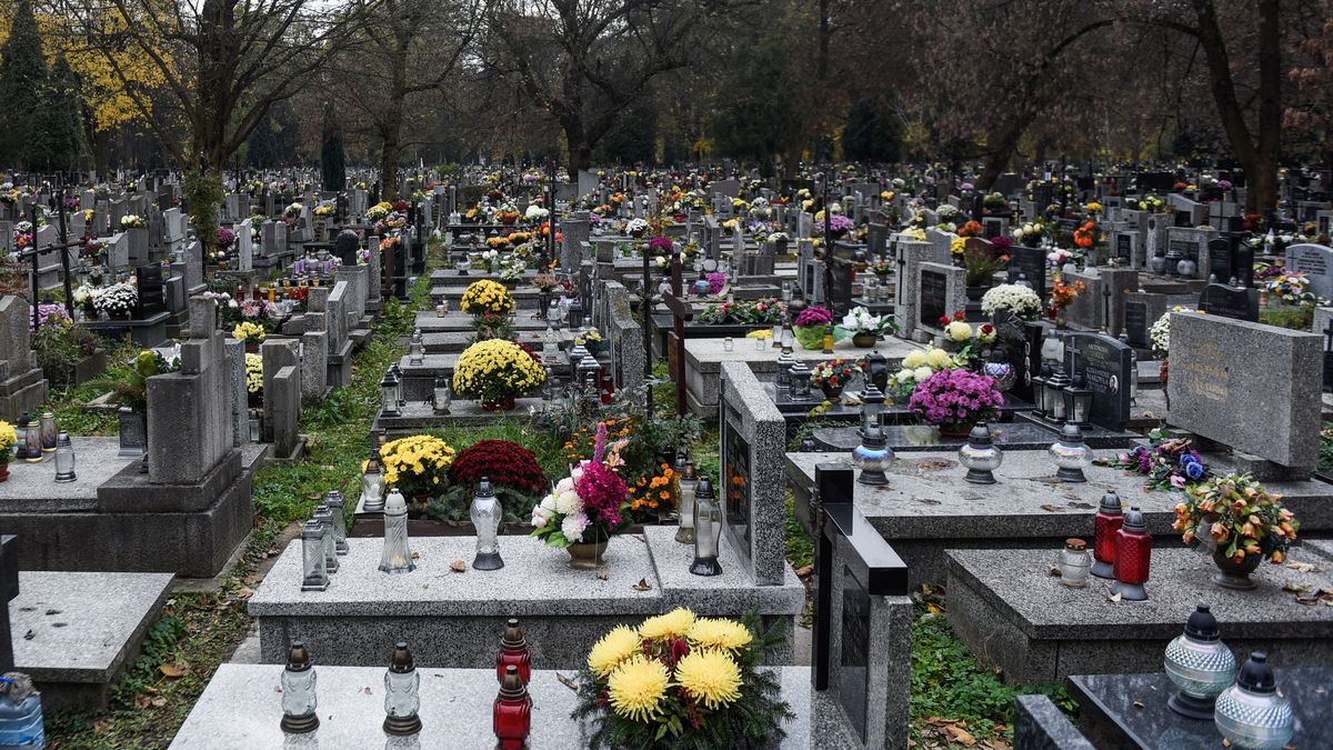 Zdjęcie ilustracyjne. 