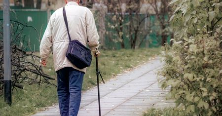 Niższe emerytury? Dane GUS pokazały skalę obniżek. Jak wyglądają wyliczenia?