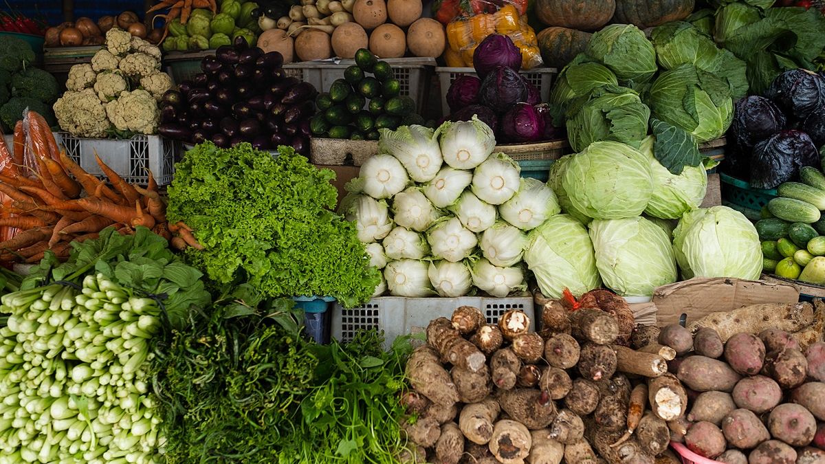 Kapusta kiszona i jej właściwości.