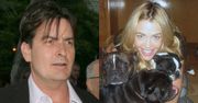 Charlie Sheen ZABIŁ PSA BYŁEJ ŻONIE?!