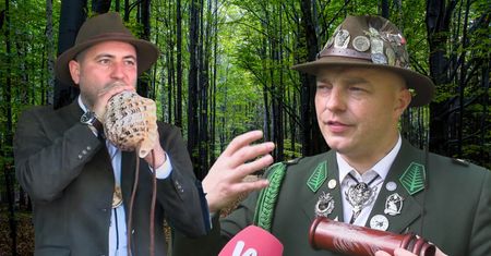 Zaszywają się w puszczy i ryczą. Słychać ich z daleka