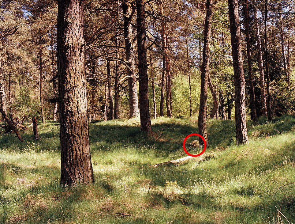 Simon Menner sfotografował snajperów niemieckiej armii. Tylko gdzie oni się podziali? 9