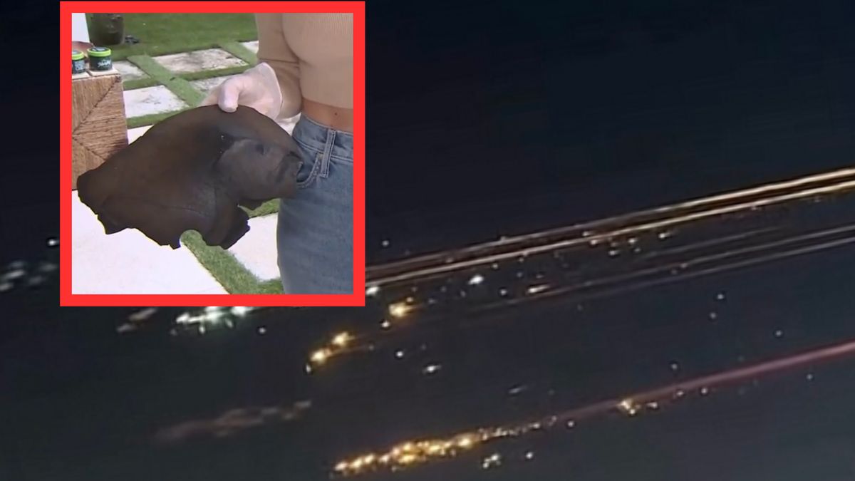 Kobieta twierdzi, że znalazła fragmenty rakiety Starship