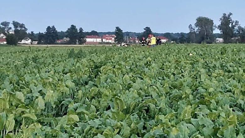 Wrocław. Zbadali katastrofę lotniczą pod Strzegomiem: ”pilot bez uprawnień, śmigłowiec przerobiony”