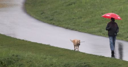 Pogoda. Warszawa. Przelotne opady deszczu. W kraju ochłodzenie