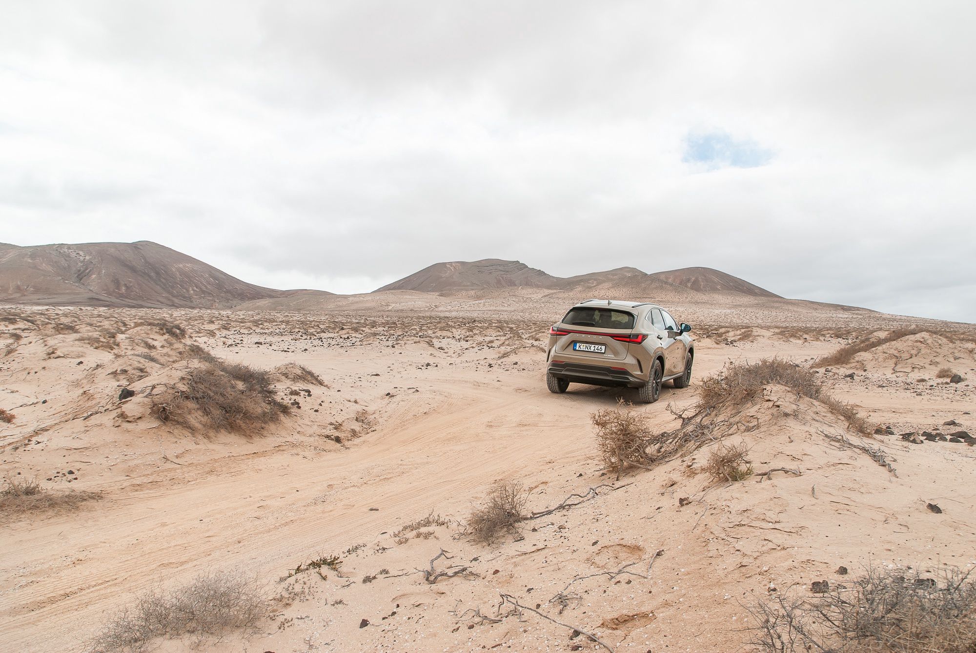 Lexus NX Overtrail