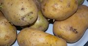 Przez cały rok goszczą na polskich stołach. Ale takich ziemniaków unikaj jak ognia