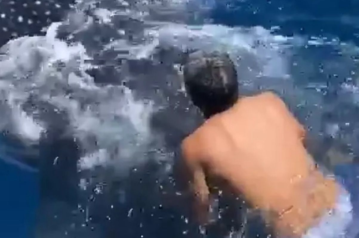 Wskoczył do wody, a tam... Wstrząsające nagranie. Internauci podzieleni