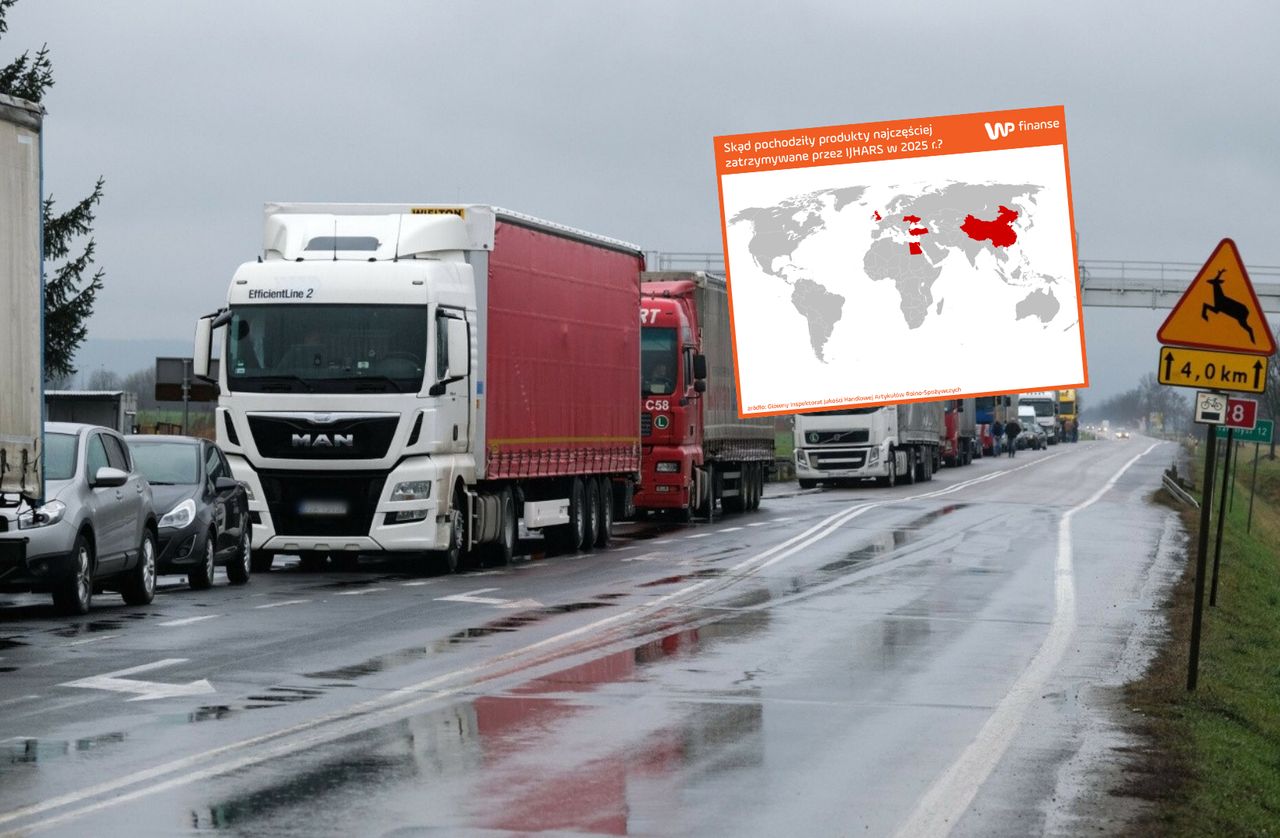 Pleśń i żywe szkodniki. To znaleźli w żywności wiezionej do Polski