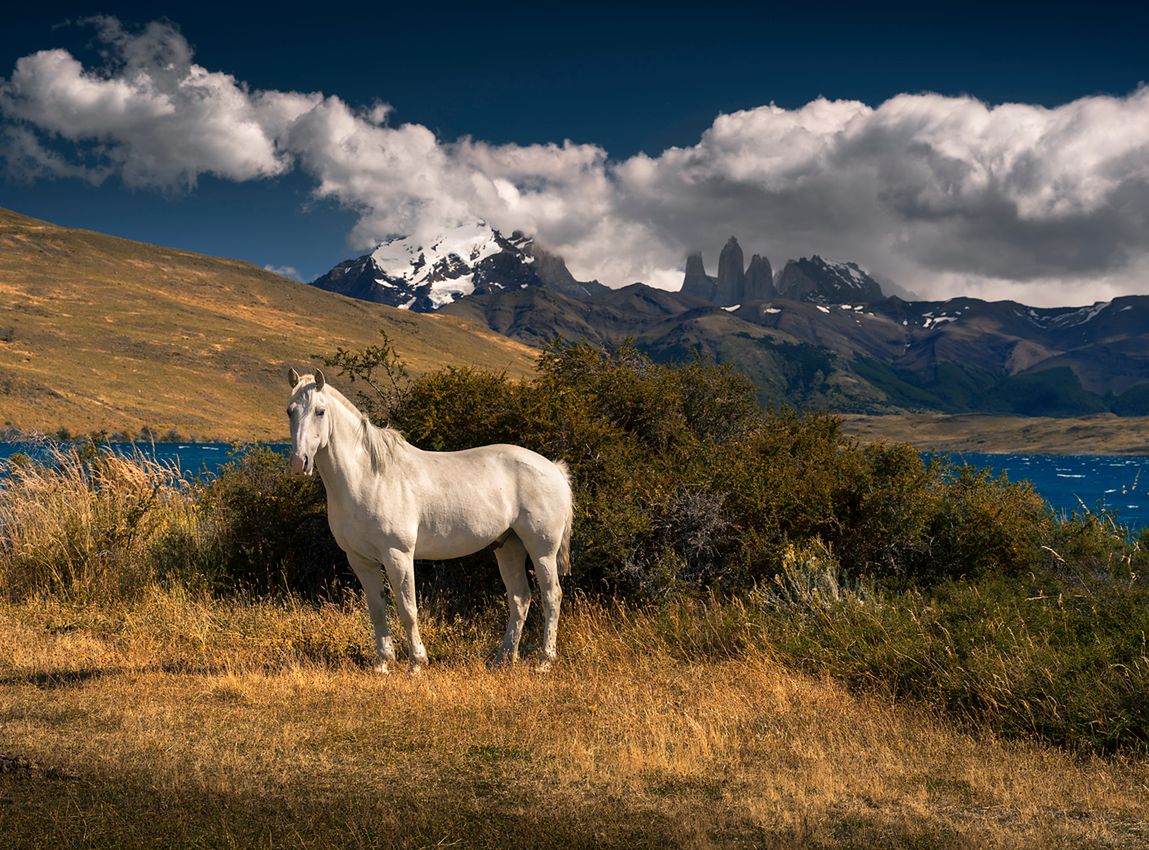 Wybrałem się do Patagonii, by zrealizować swoje największe marzenie 3