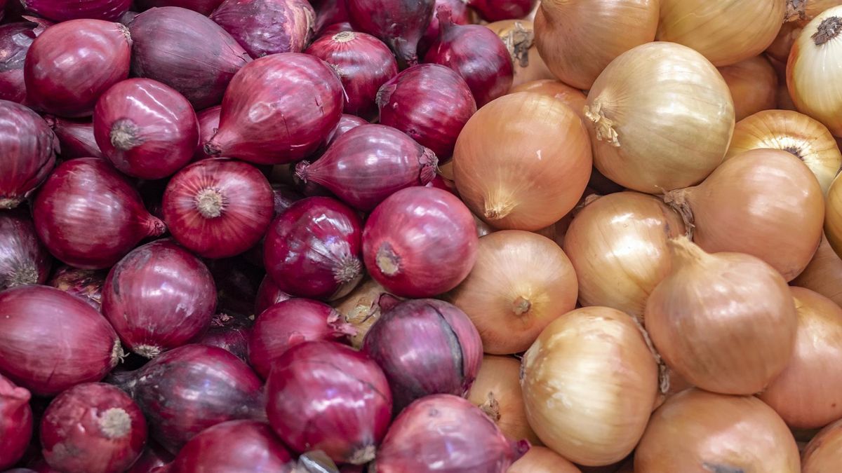Badali osoby, które często jedzą cebulę. Takie są skutki