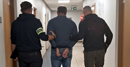 Fikcyjne umowy na krowy i milionowe straty. Dwaj mężczyźni zatrzymani przez policję