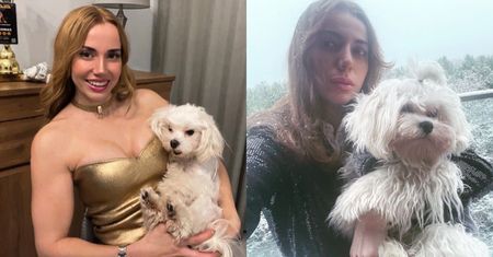 Oskarżyli ją o porzucenie psa. Marianna Schreiber nie wytrzymała, zareagowała na plotki