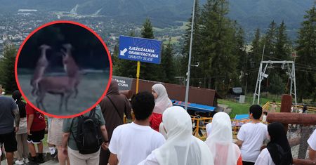 Niepokojące zachowanie arabskich turystów. "Podjeżdżają na hulajnogach"