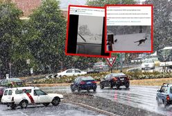 Australia na biało. Największe opady śniegu od dekad