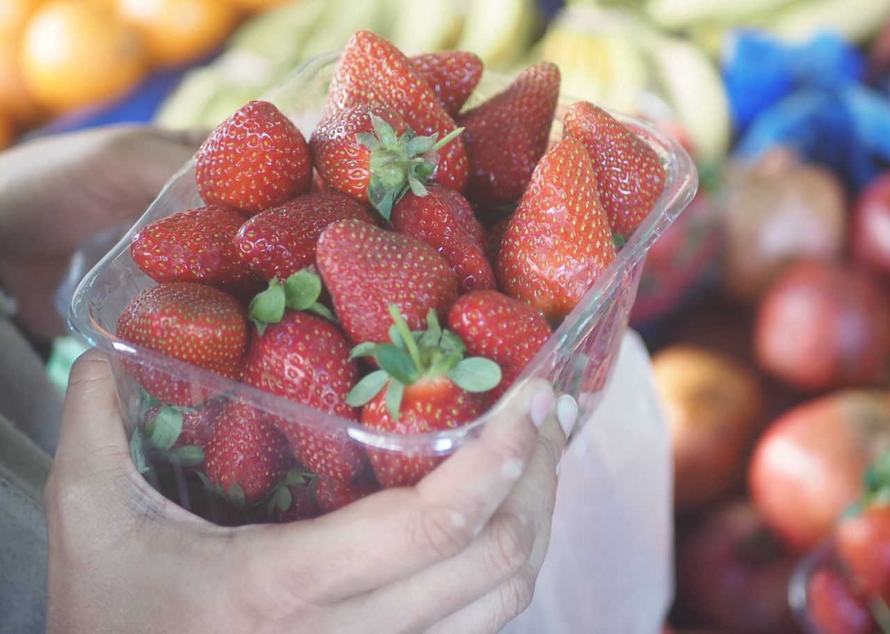 Preserve your strawberries: Tips to keep them fresh longer