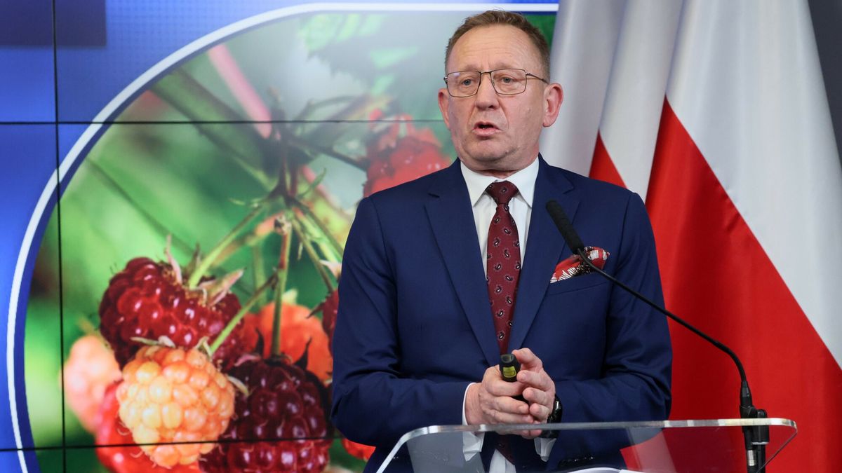 Jak podał UOKiK, wyniki kontroli w ok. 60 skupach nie wskazują na zmowę cenową na rynku malin. Na zdj. minister rolnictwa Robert Telus