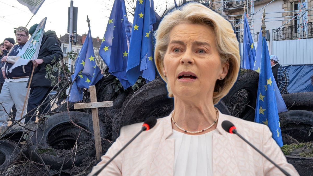 Umowa z krajami Mercosur dzielą rolników