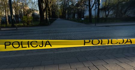 Przerażające odkrycie na budowie. Ludzkie czaszki zakopane w ziemi