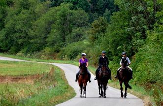 #moneypomaga. Folwark Toporzysko czeka na koniec pandemii. Czwarta fala to byłby problem
