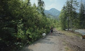 W Tatrach to zakazane. Nie wszyscy turyści pamiętają