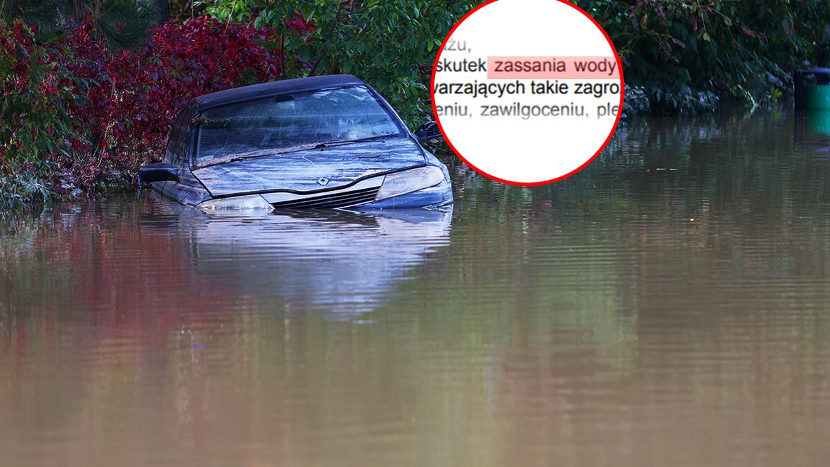 Do uszkodzenia silnika nie trzeba wiele