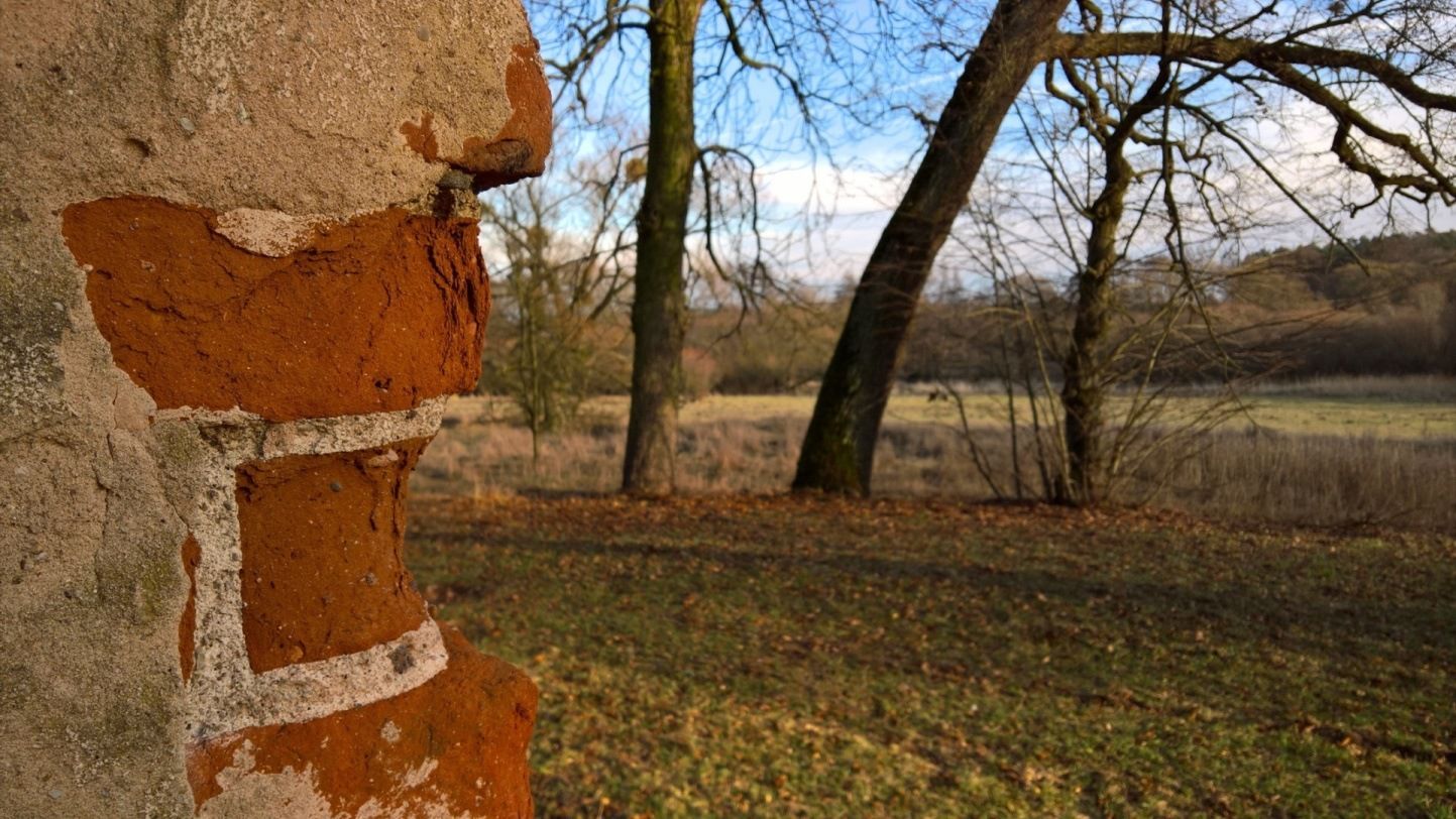 Microsoft Lumia 950 - test i recenzja 30