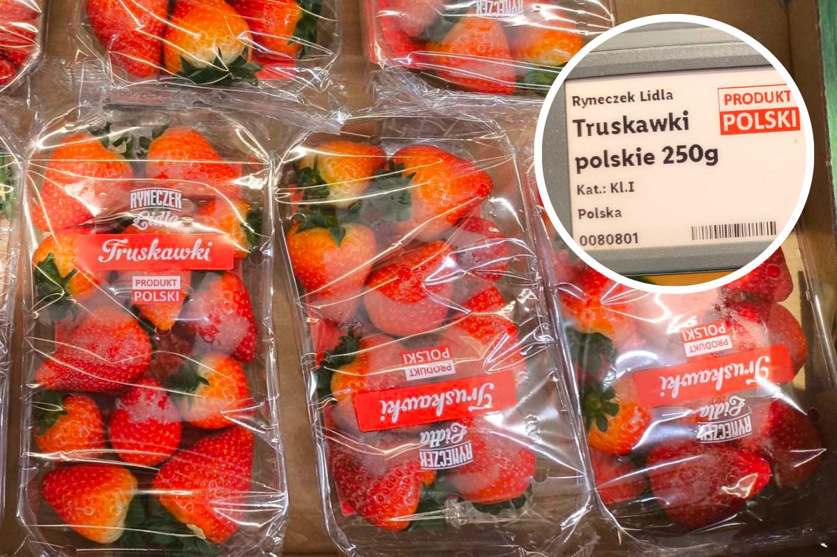 Polskie truskawki pojawiły się w Lidlu. Za słodkie owoce trzeba jednak słono zapłacić