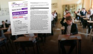 Matura 2025 - język polski. Tak wyglądał arkusz CKE
