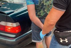 Śląskie. Pseudokibice w rękach policji, zarzuty nie tylko za bójki