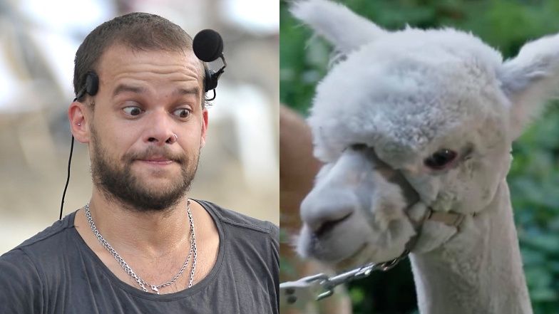 Michał Piróg odpowiada na zarzuty o znęcanie się nad zwierzętami w "Top Model"