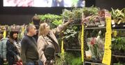 Festiwal Roślin 2026 w Katowicach. Mnóstwo okazów roślin doniczkowych, są unikaty. Ceny od 5 do ponad 150 złotych