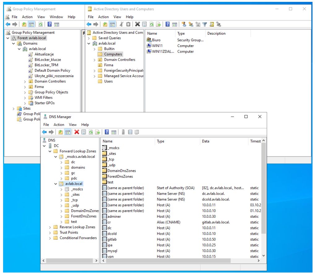 DNS Manager.