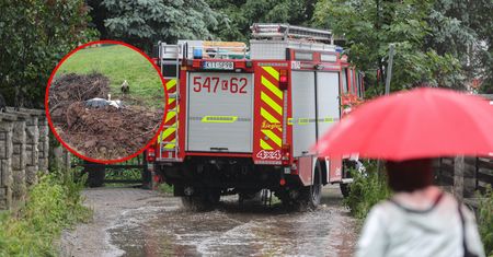 Fatalne skutki wichury. Spadło gniazdo bocianów